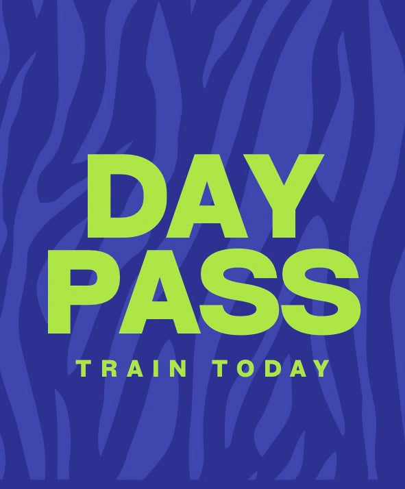 8AM/PM + 11AM Class